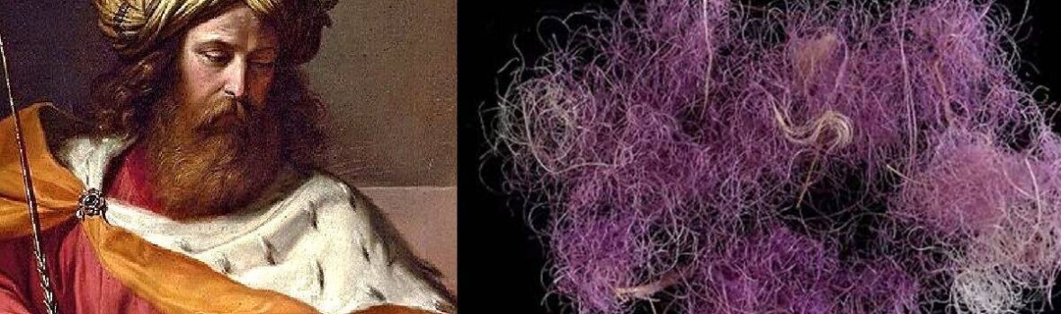 king of david and purple のコピー