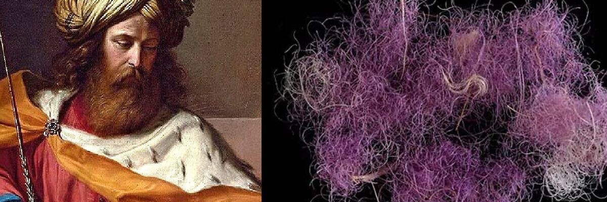 king of david and purple のコピー